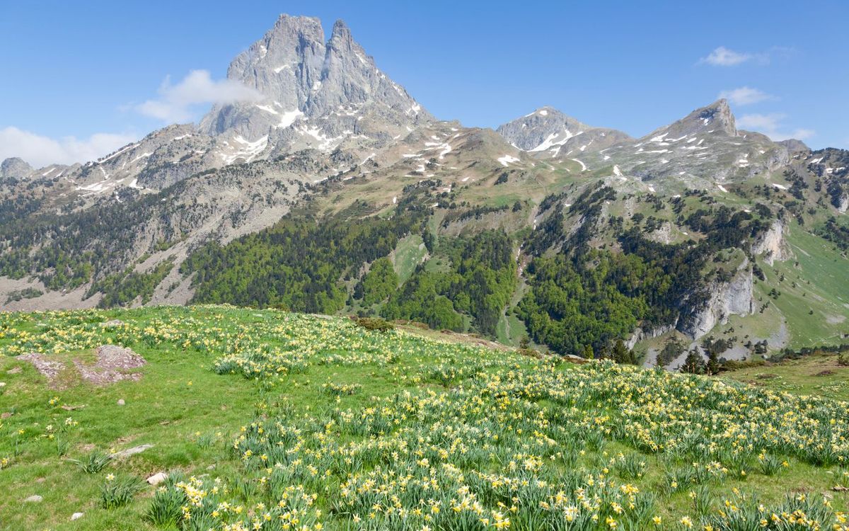 Déménager à Pau : Votre partenaire de confiance dans les Pyrénées-Atlantiques